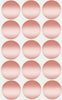 Dot stickers 1.25 inch Metallic Colors 30mm