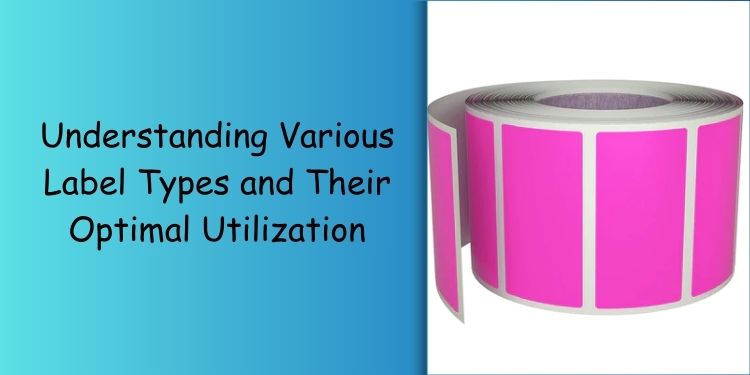 Understanding Various Label Types and Their Optimal Utilization: A Def ...