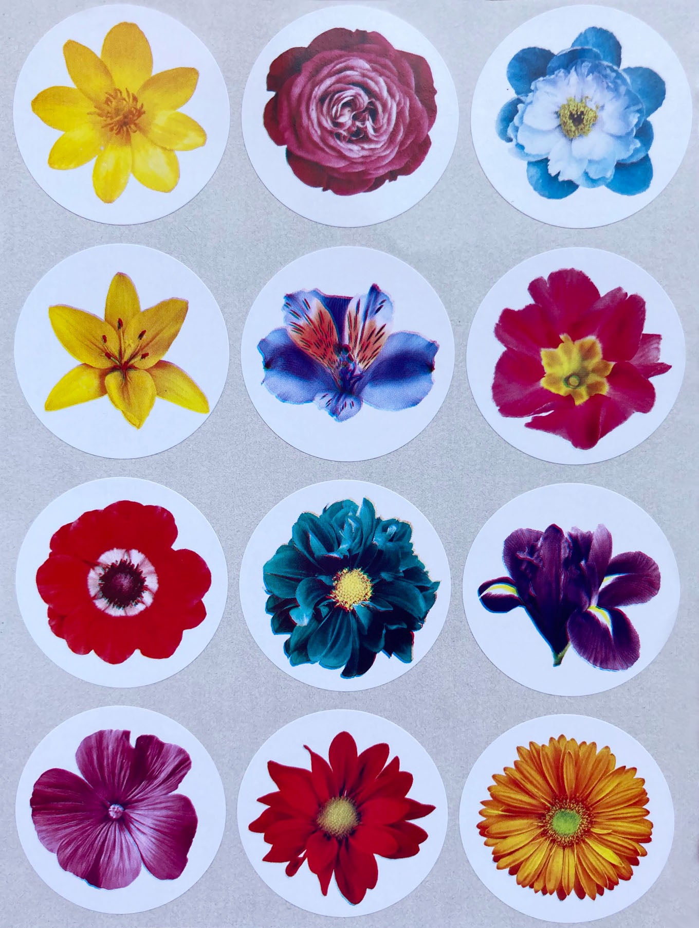 Flower Stencil Sticker Realistic Flower Stickers For Arts And Crafts – Royal Green Market