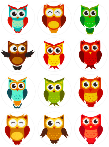 Decorative 1.5” Colorful Owl Stickers